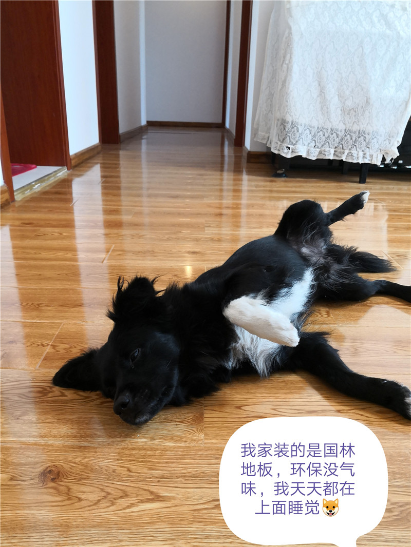 完美·官方端网站登录入口-完美（中国）
